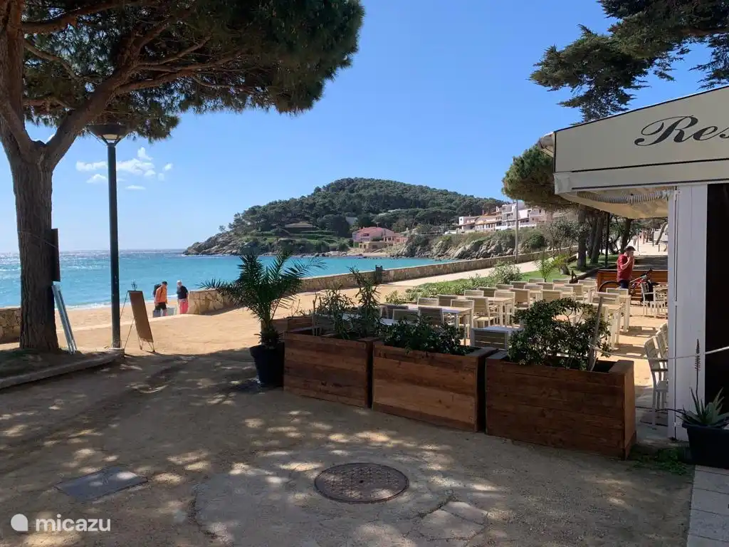 Gemütliche Strände nur wenige Gehminuten vom Campingplatz entfernt.