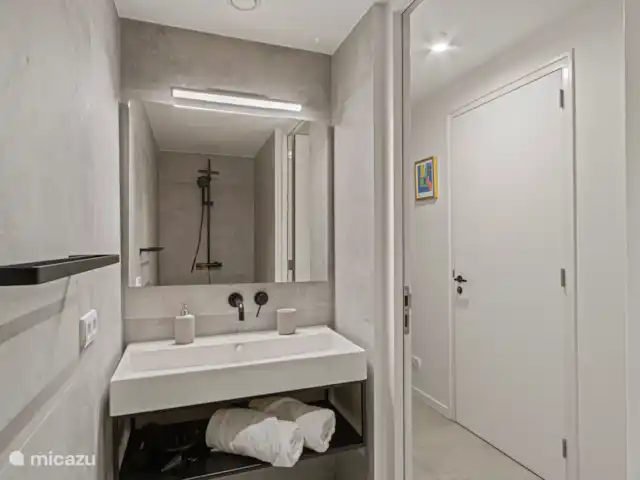 The Wharf 1D - au cœur de Willemstad | Curaçao, Curaçao-Centre, Willemstad - appartement Dans le hall, il y a une salle de bain moderne avec douche à l’italienne et lavabo.