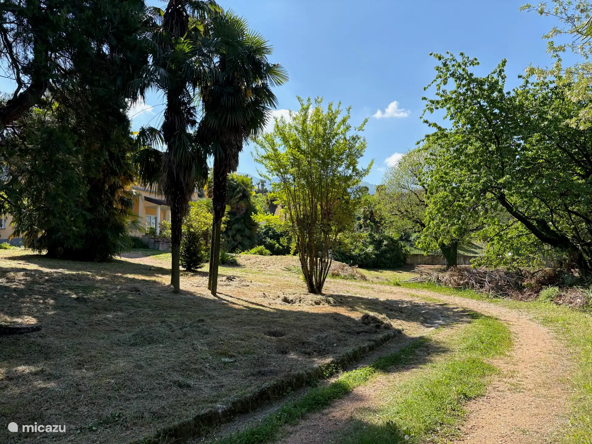 Garten und Einfahrt zur Wohnung