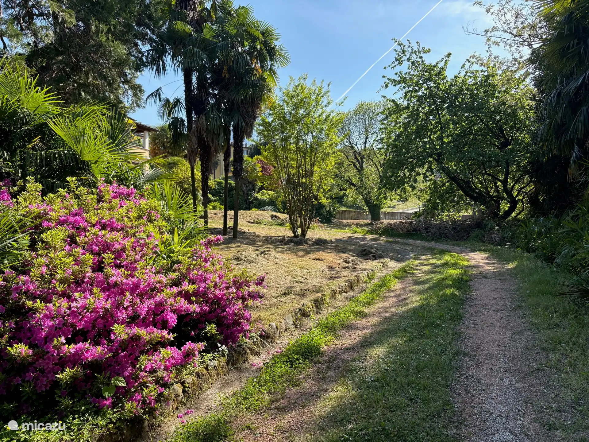 Garten und Einfahrt