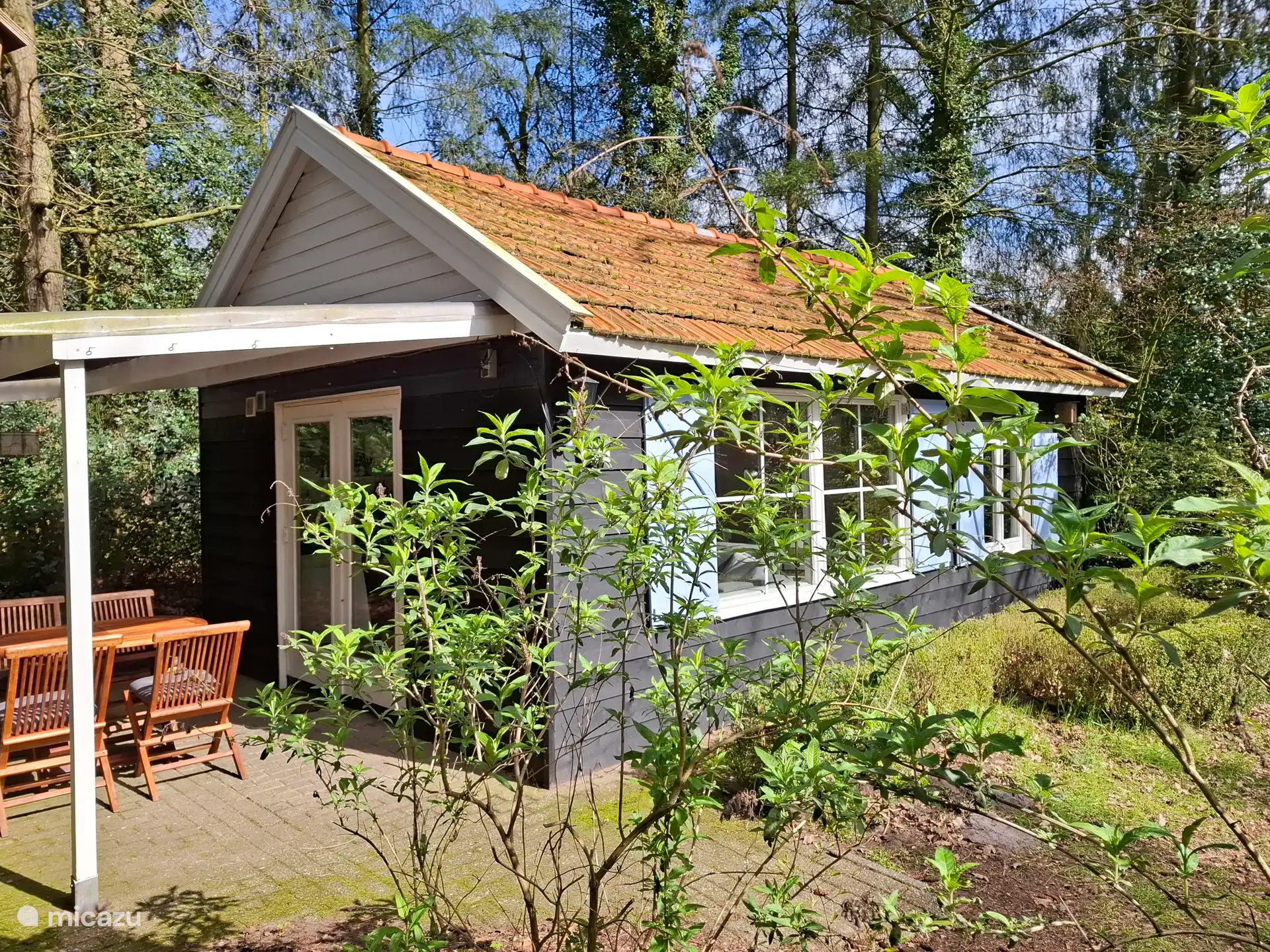 vakantiehuis huren in Hoge Hexel, Overijssel, Nederland - Het Pimpelmeesje