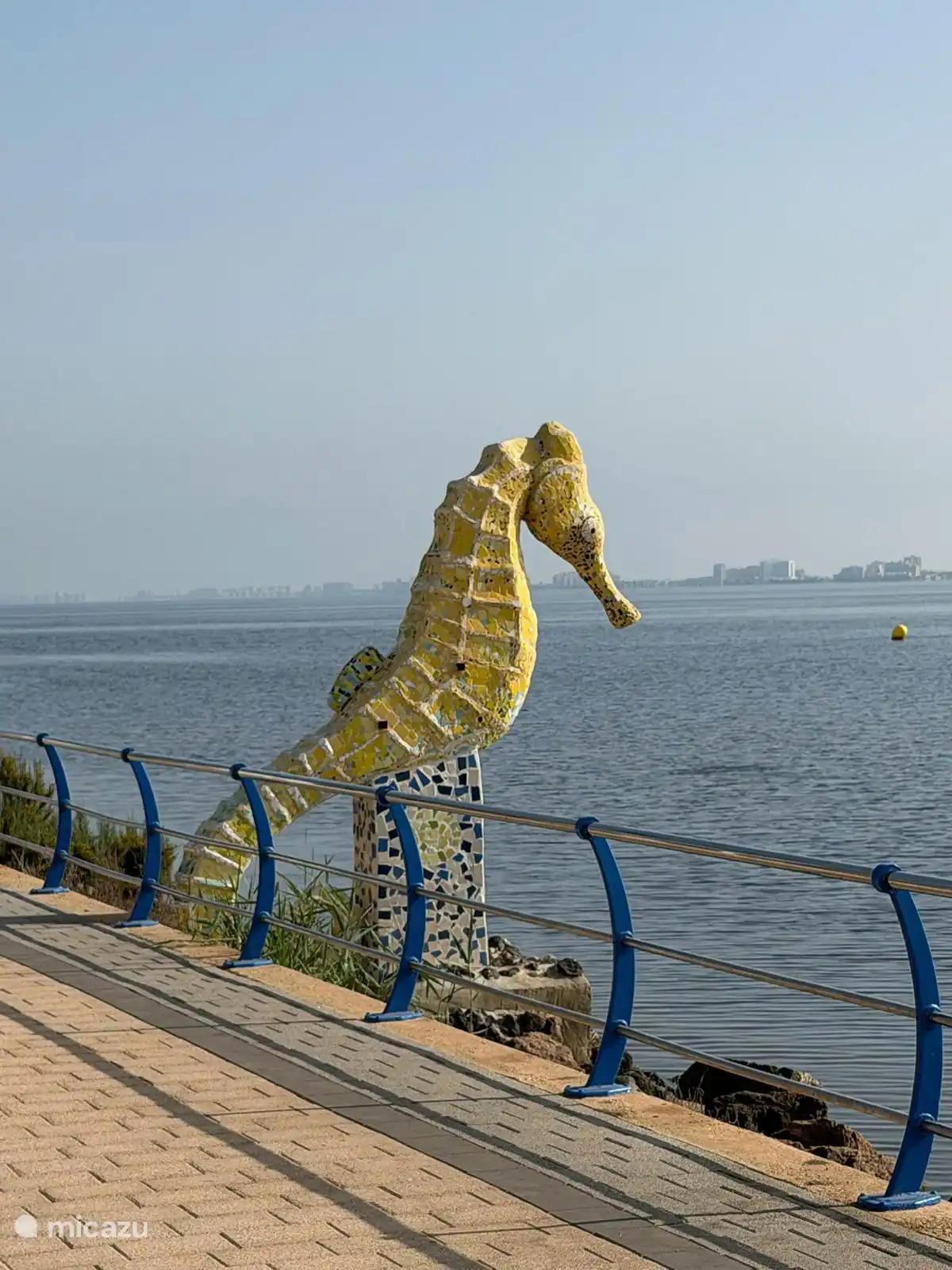 Standbeeld zeepaardje