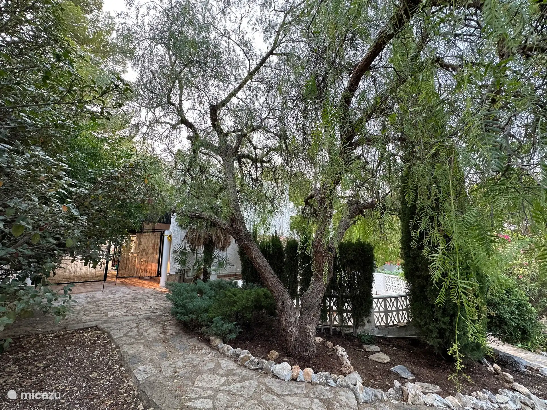 Jardin derrière la maison