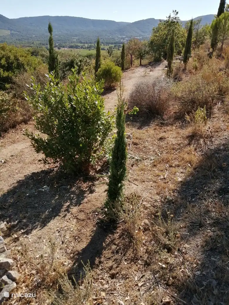 Sendero para caminar por el jardín
