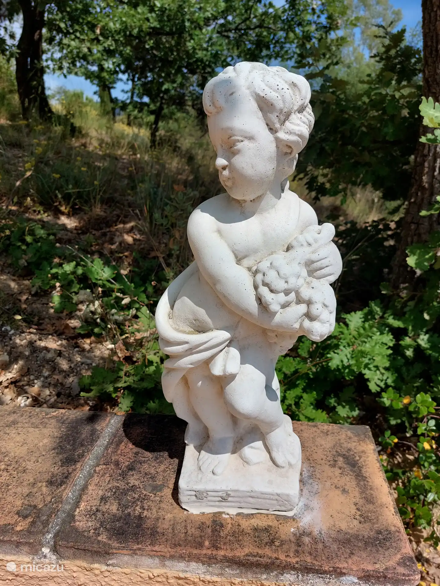 Detalles en el jardín