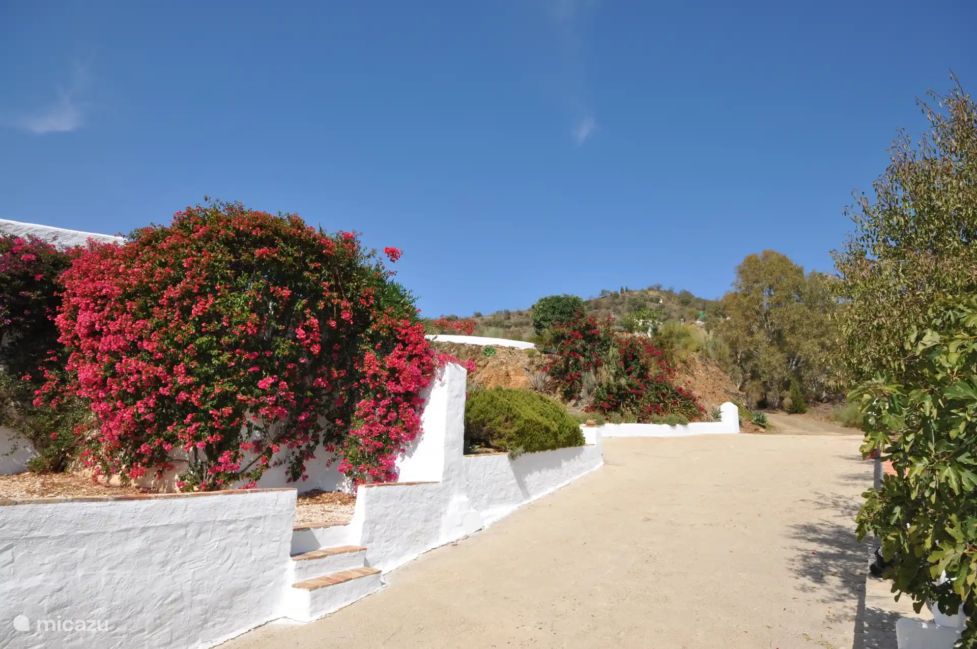 Observation depuis El Olivo (privé)