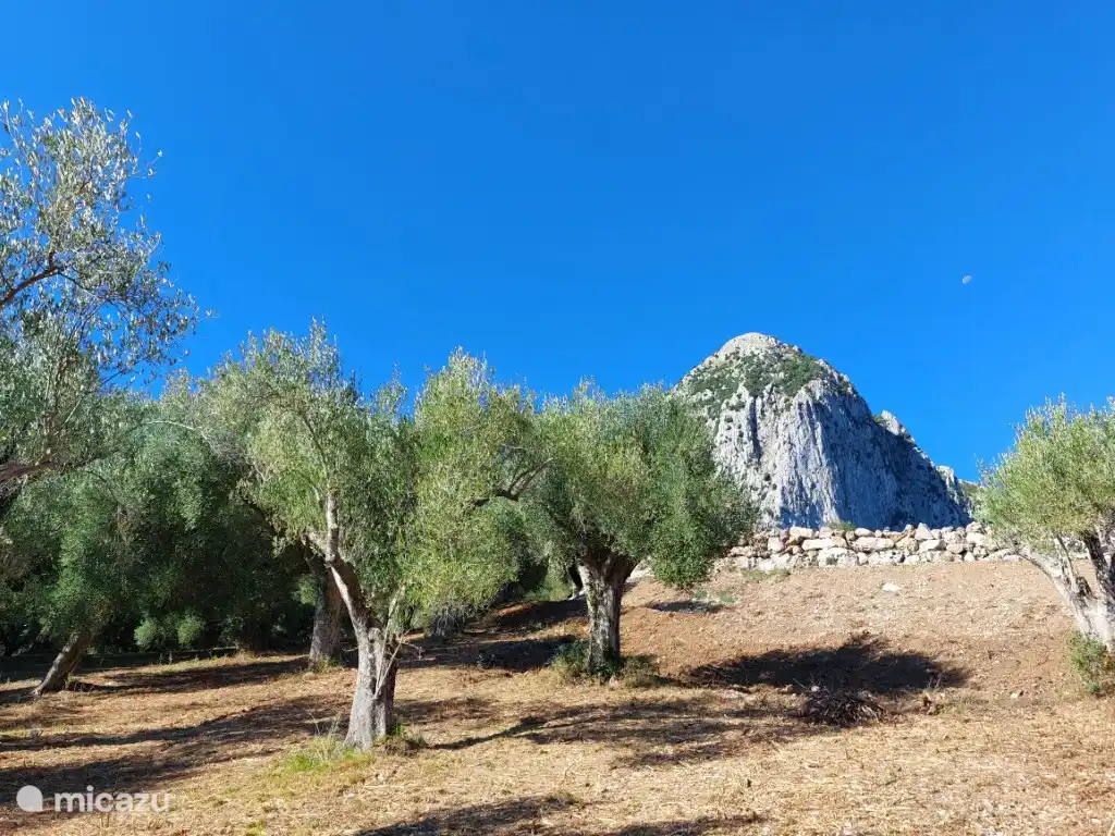 Mediterrane Landschaft