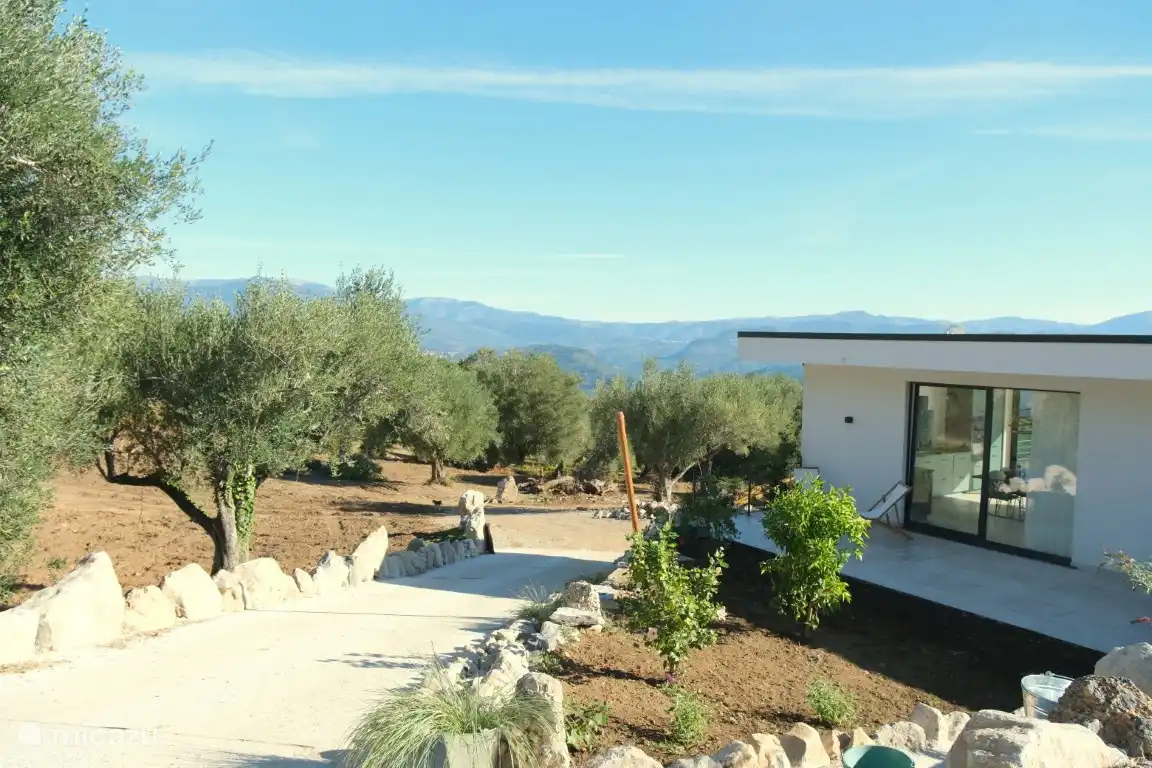 Umgeben von alten Oliven