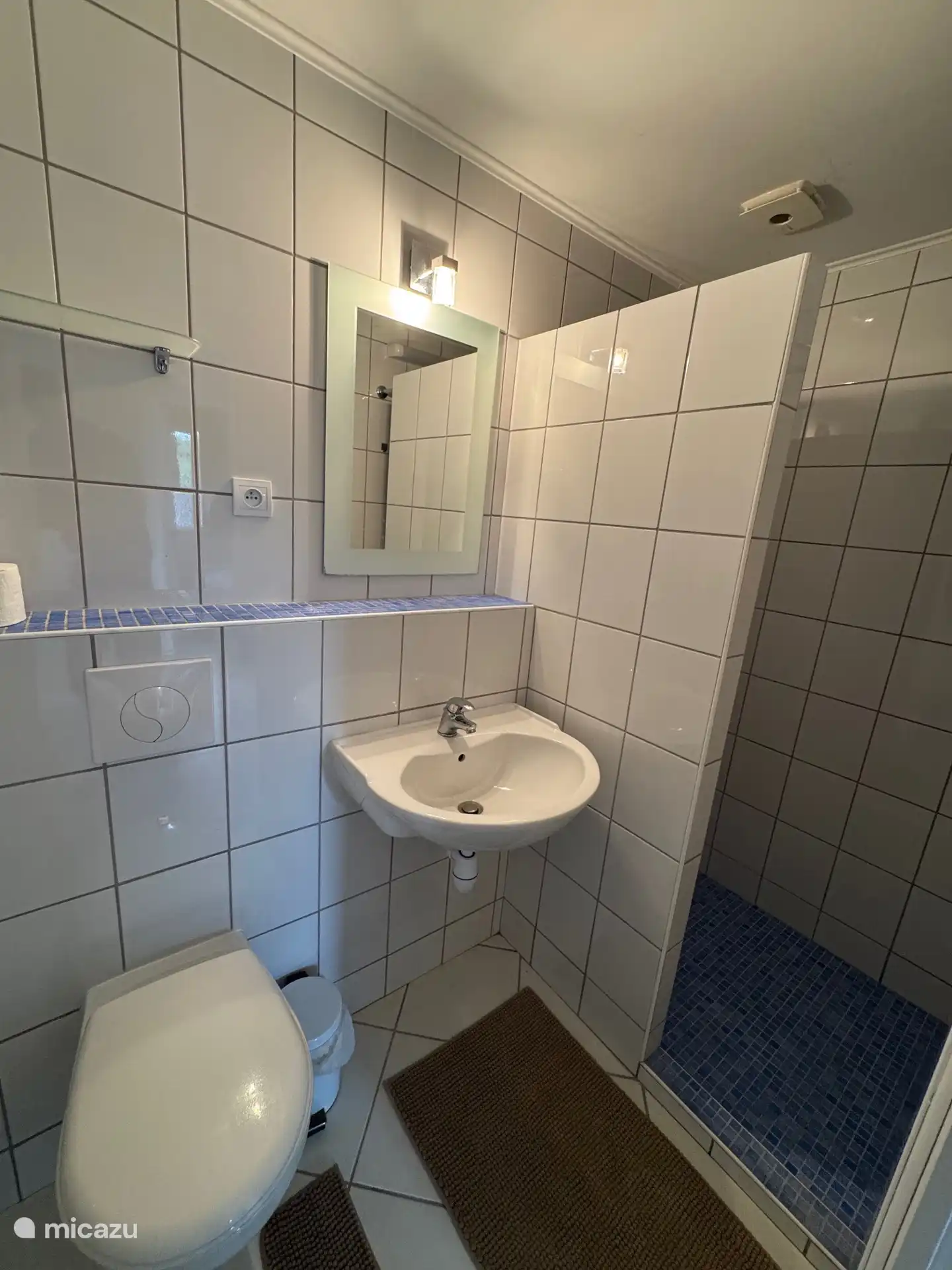 Badkamer met douche, toilet en wastafel