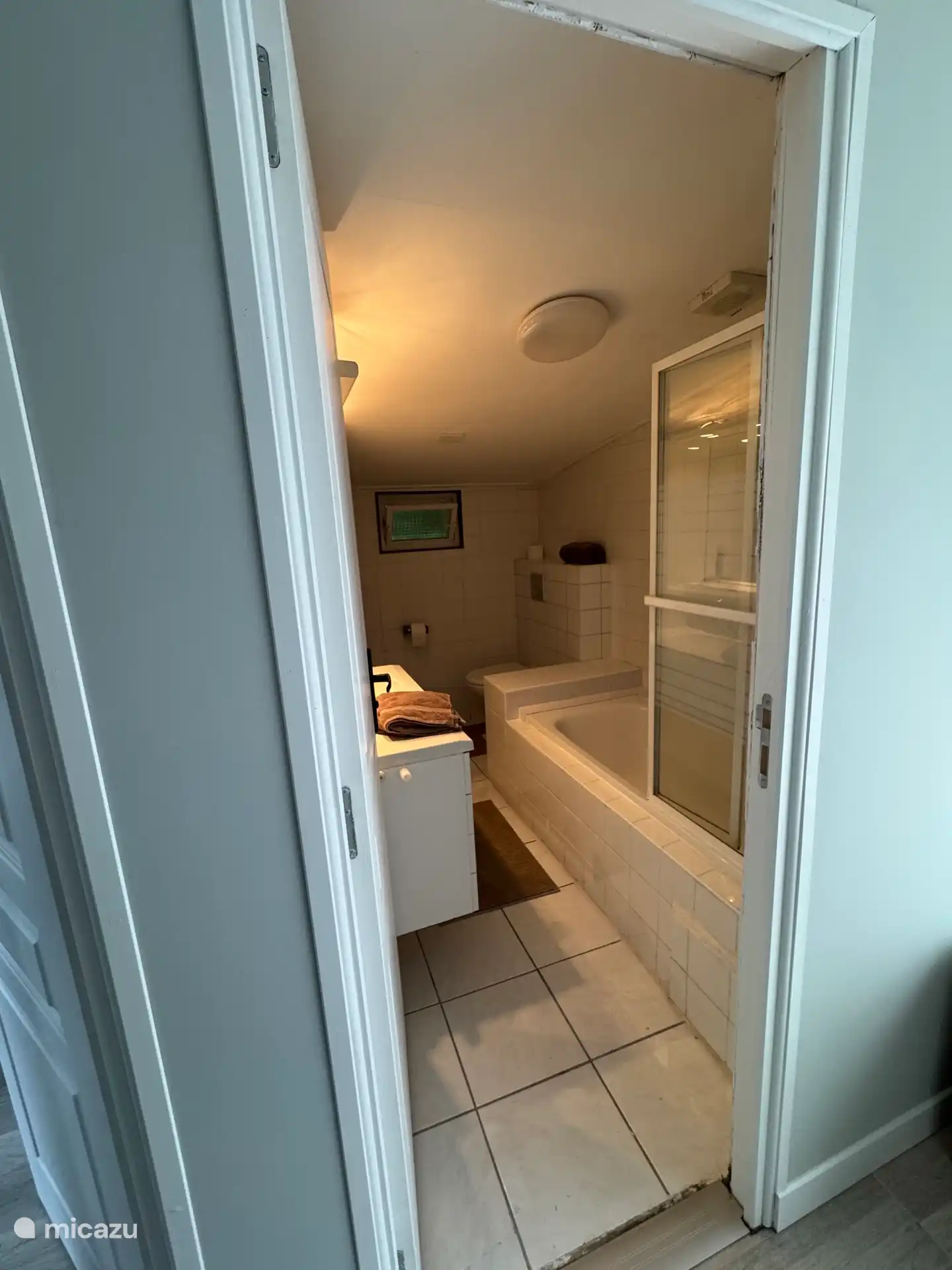 Badkamer met ligbad/douche, toilet en wastafel