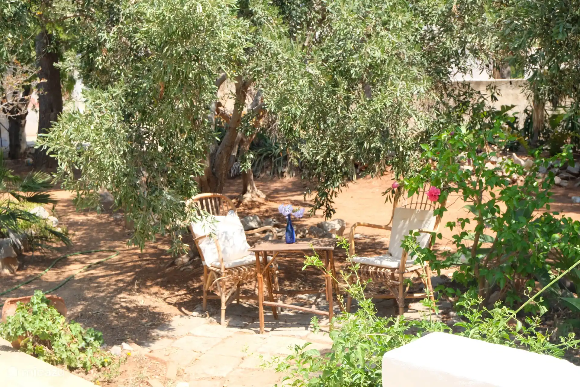 Enjoy the beautiful Mediterranean garden.