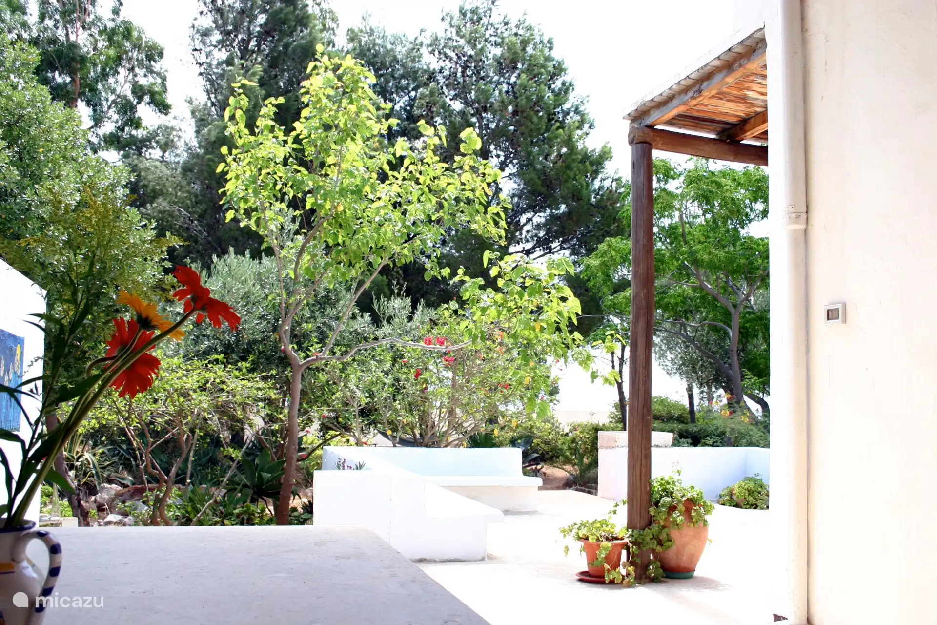 View of the garden from the covered outdoor terrace with marble table. 