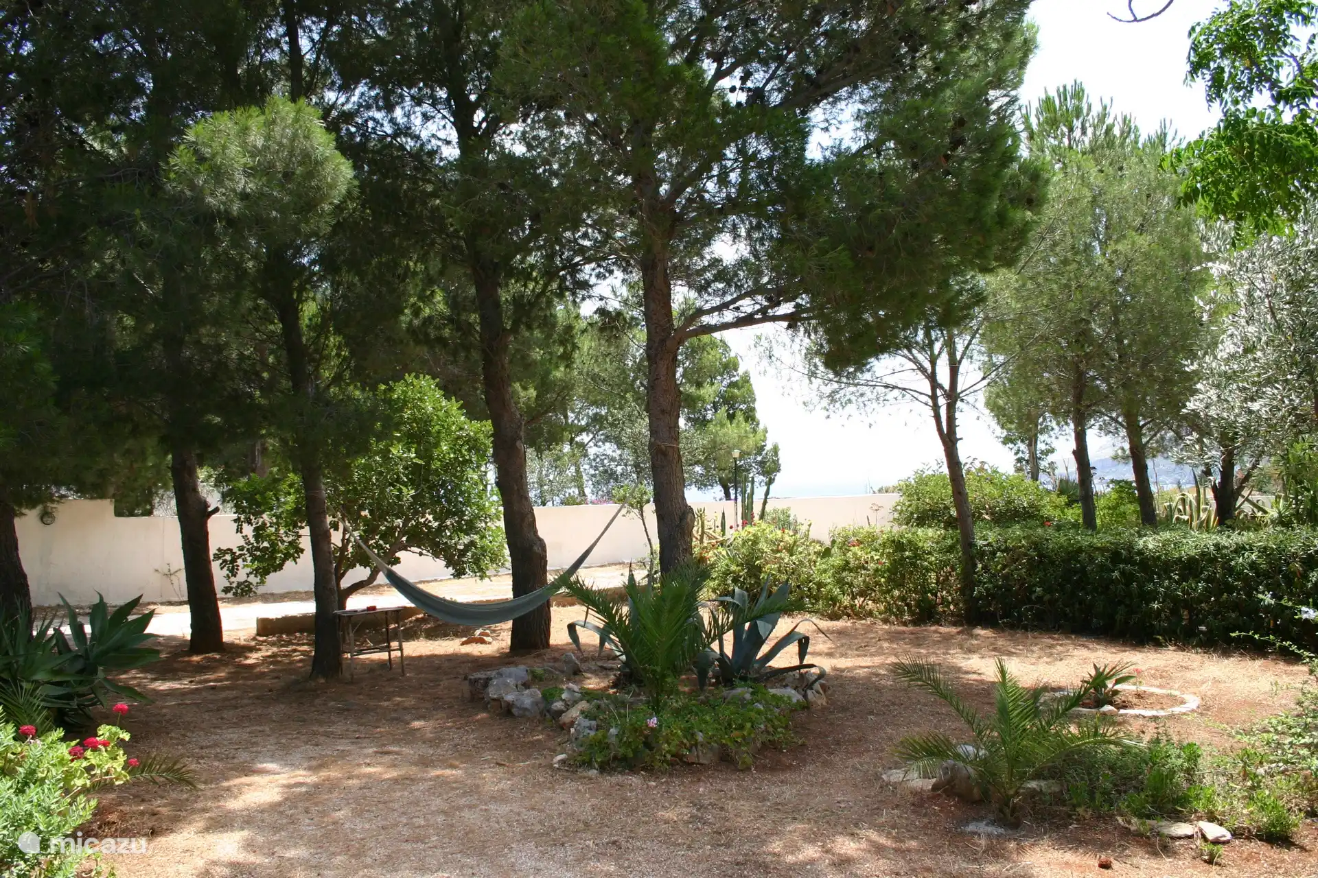 Our beautiful Mediterranean garden.