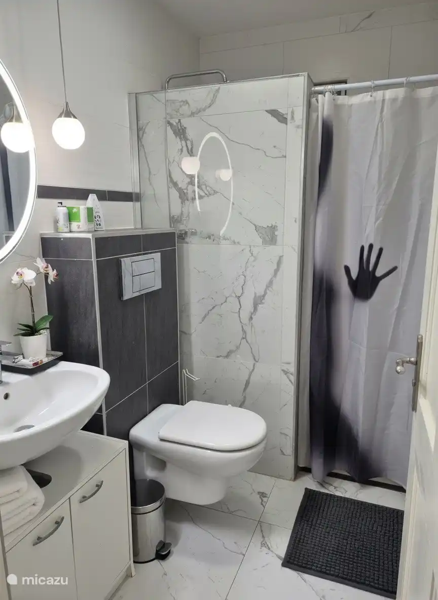 La salle de bains dispose d’un éclairage élégant et d’une douche chaude confortable pour bien commencer la journée.