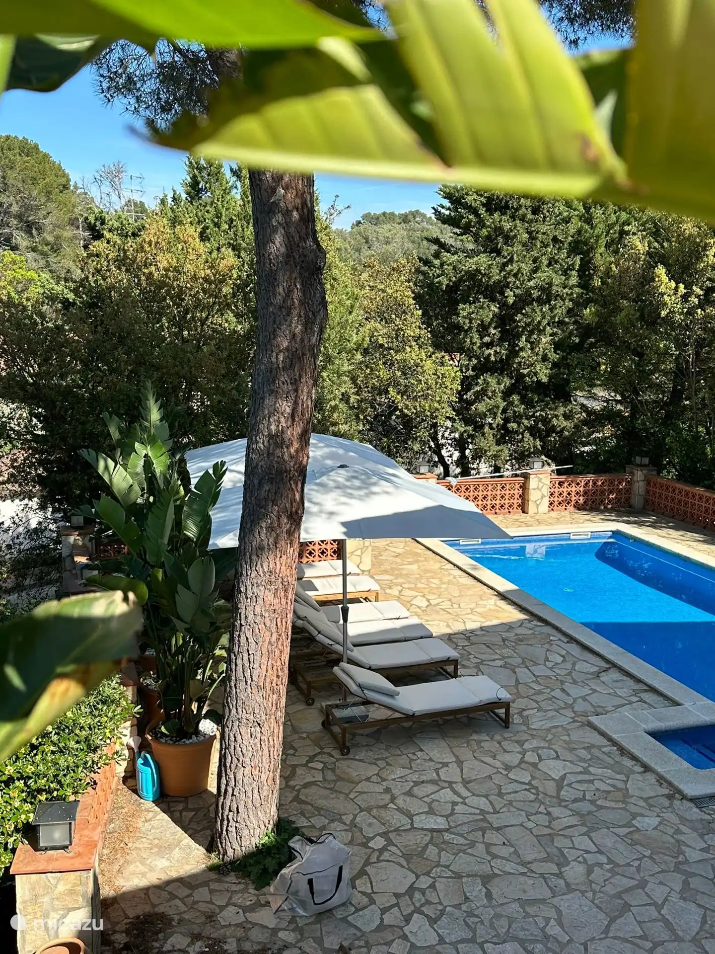 Poolblick von der Terrasse