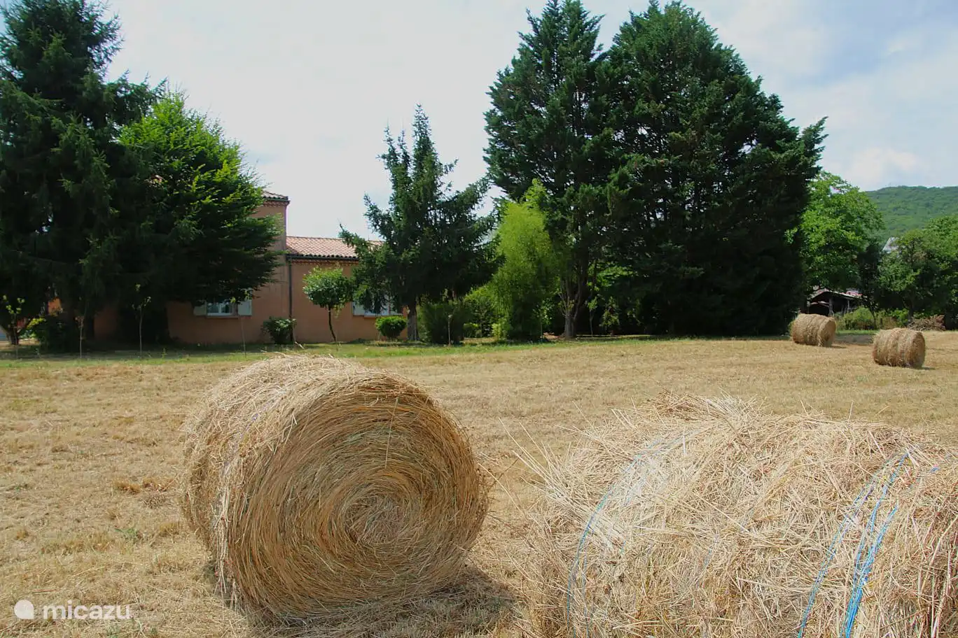 Meadow next to the holiday home