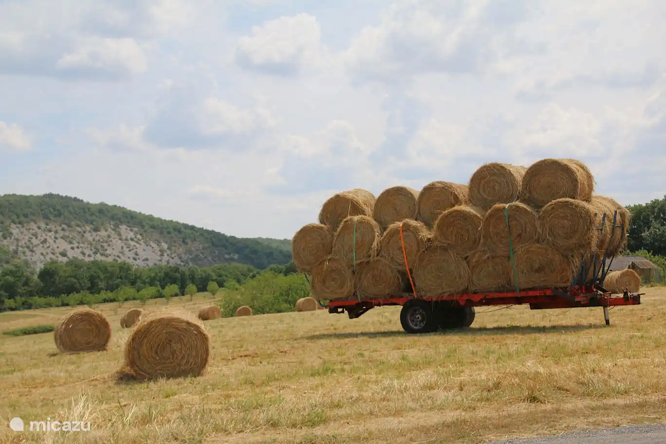 Meadow next to the holiday home