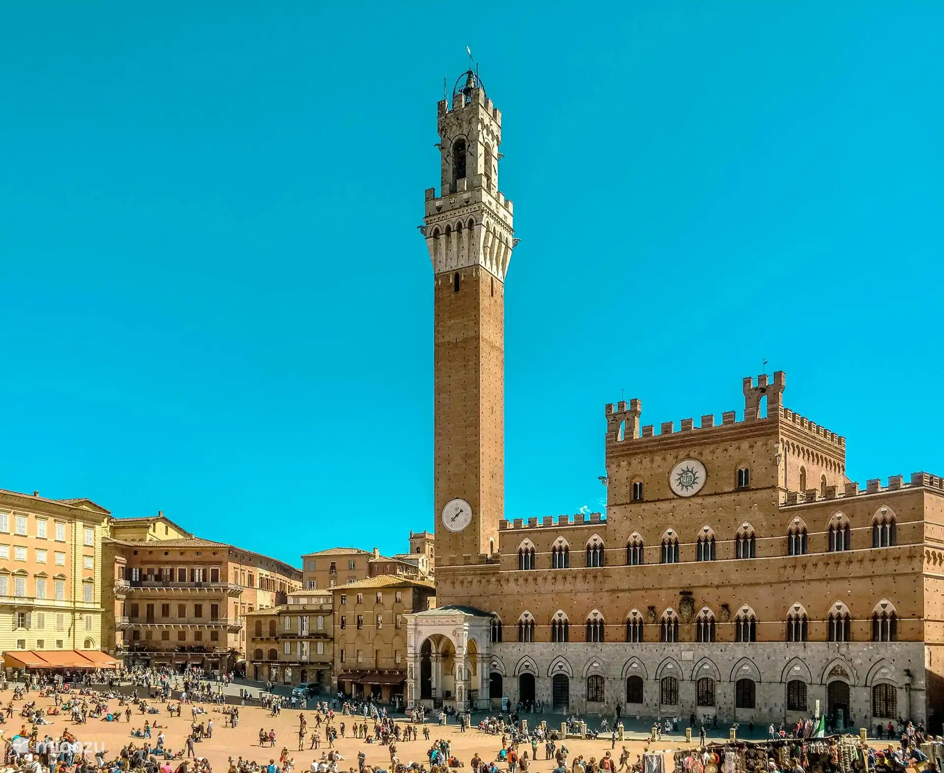 Piazza Del Campo In Siena