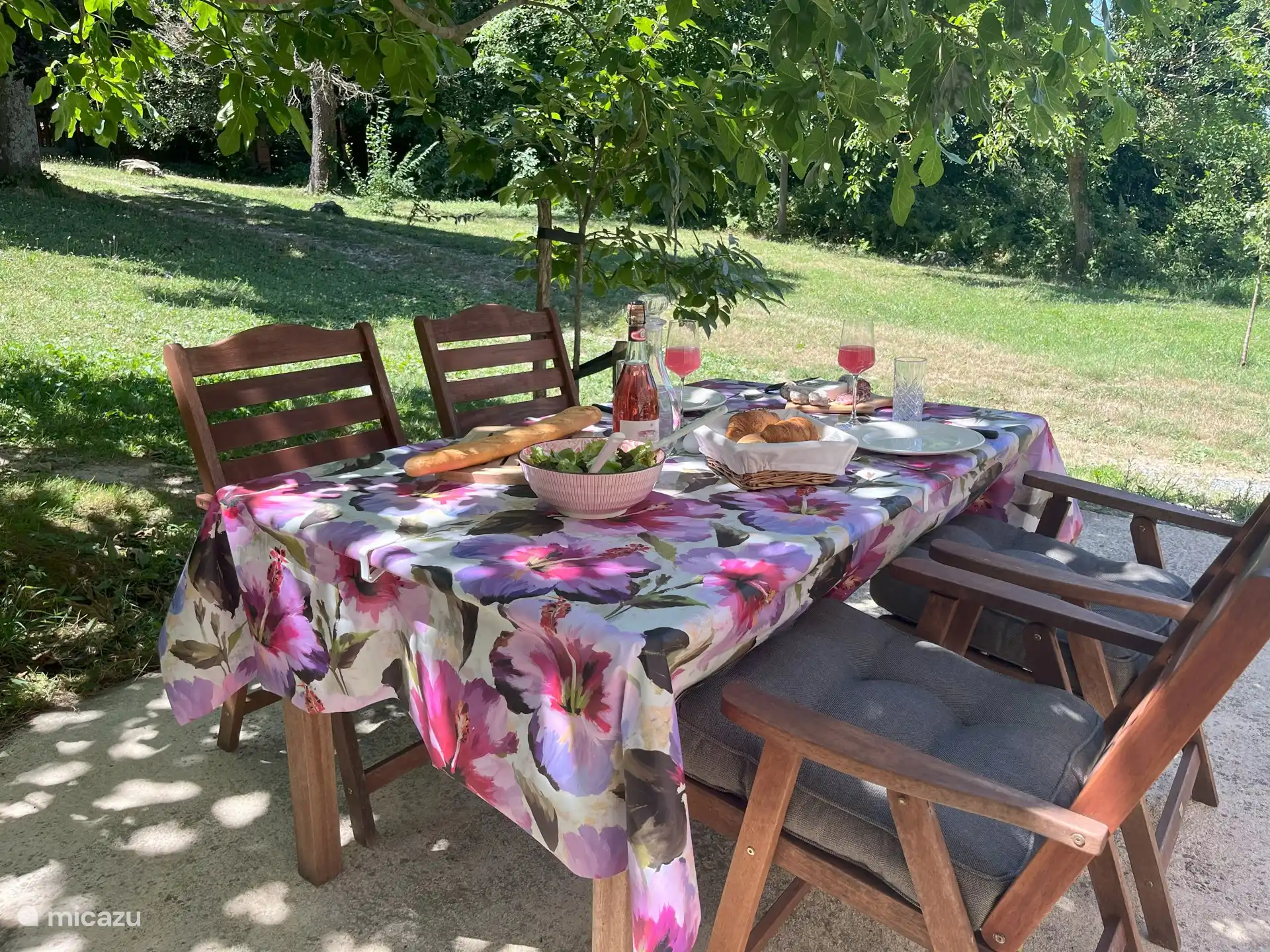 Köstliches Essen im Freien unter dem Feigenbaum