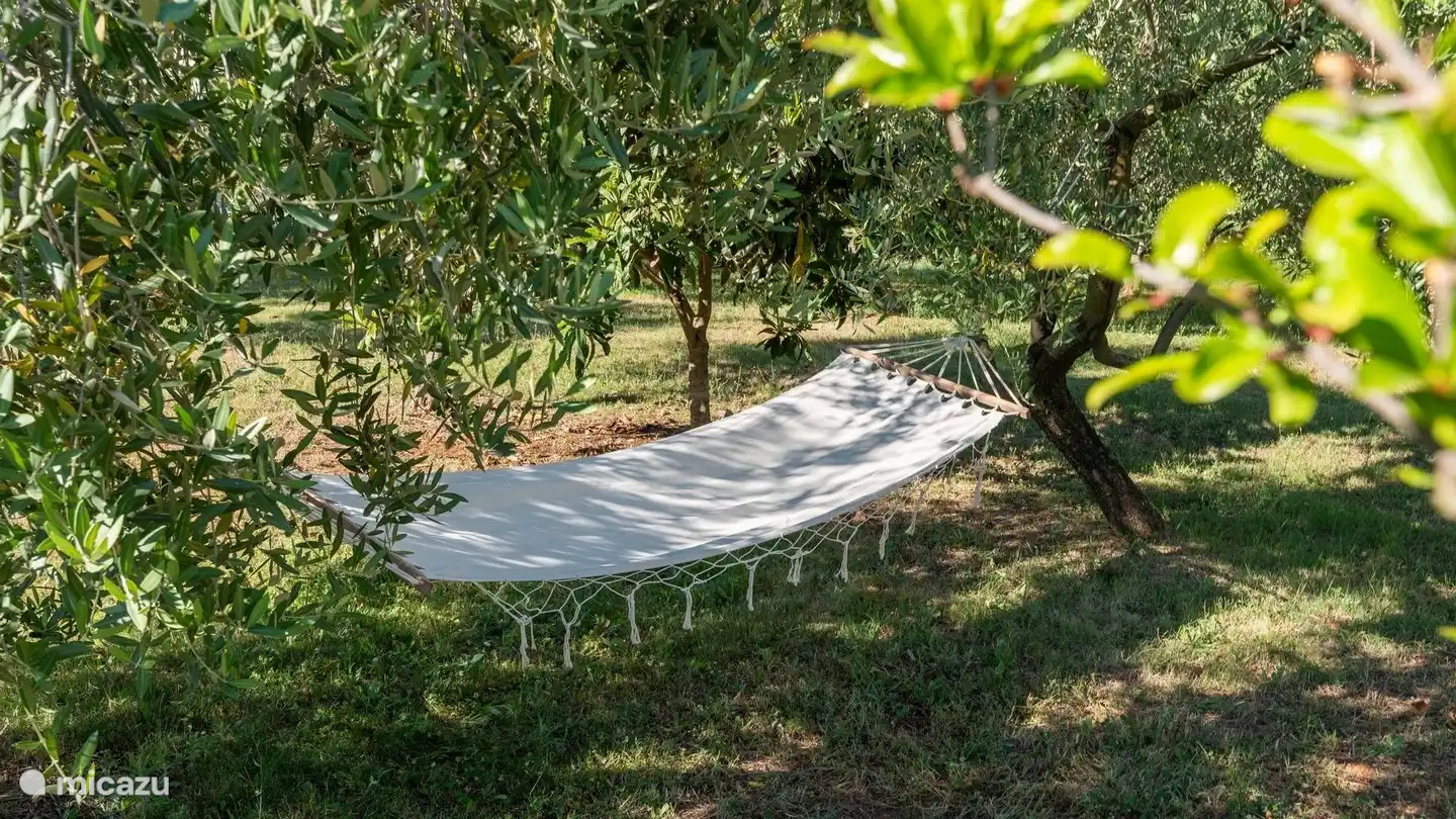 hammock
