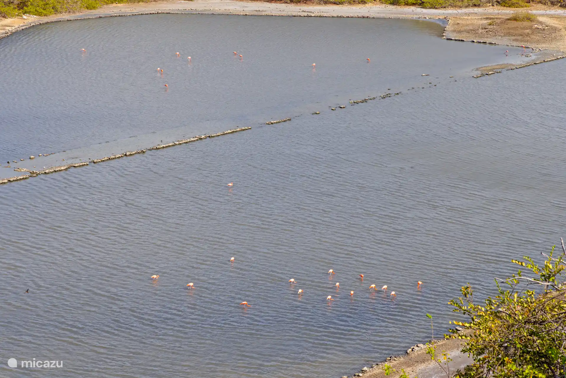 Uitzicht op de beroemde zoutpannen waar flamingo’s nesten.
