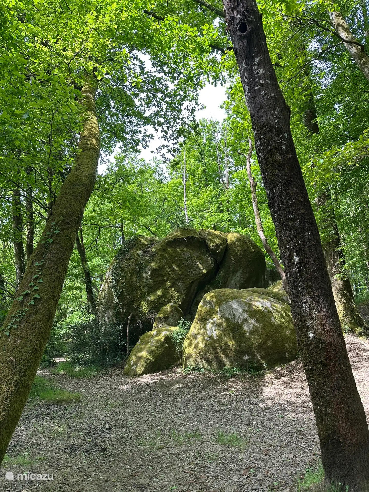 À 5 minutes d’ici, vous pouvez faire une belle promenade entre les gigantesques rochers au-dessus du sol