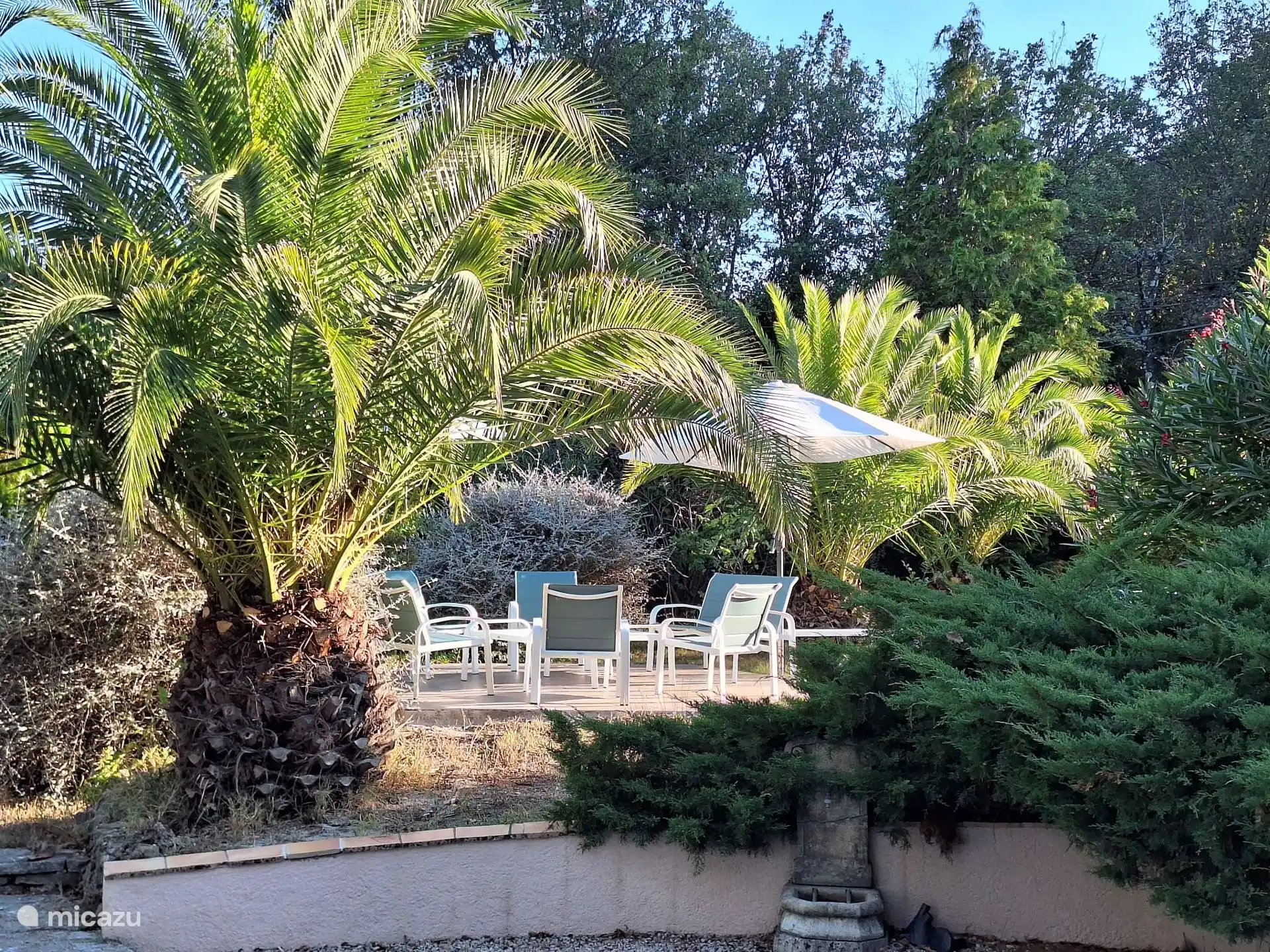 Loungezitje tussen de palmbomen