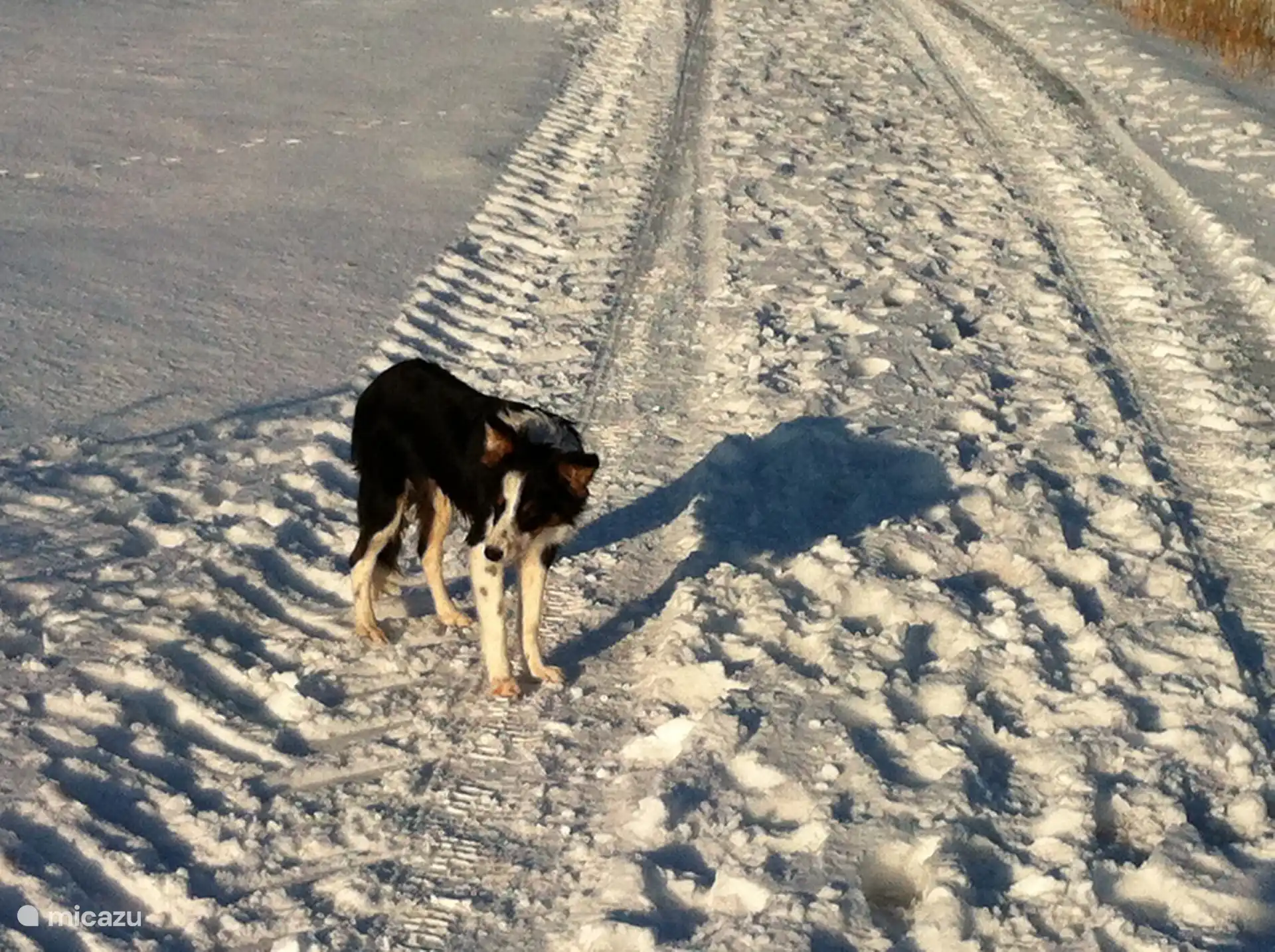 Wandelen op de wandelpaden vanuit Eimelrod