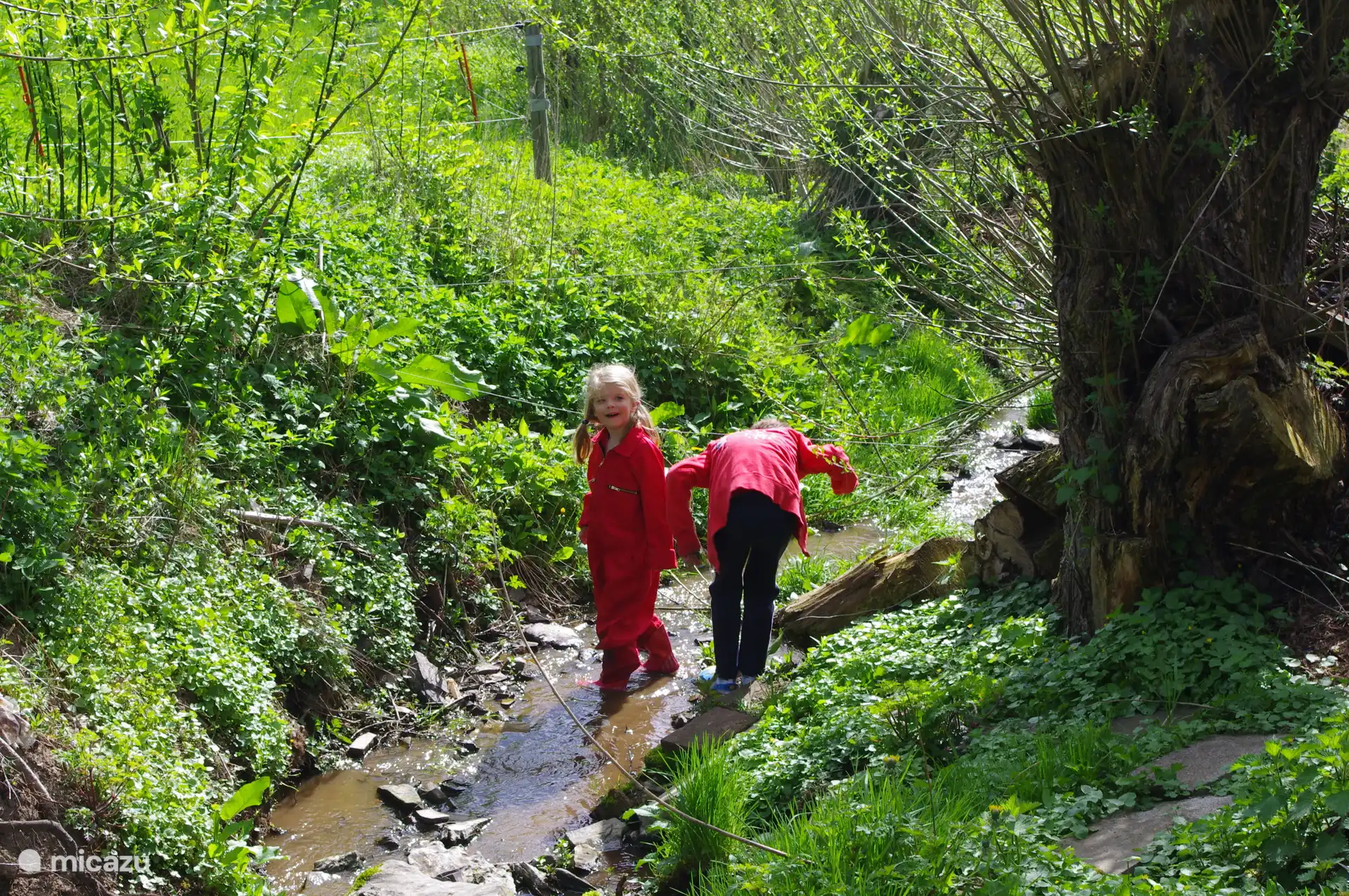 Spelen in de beek