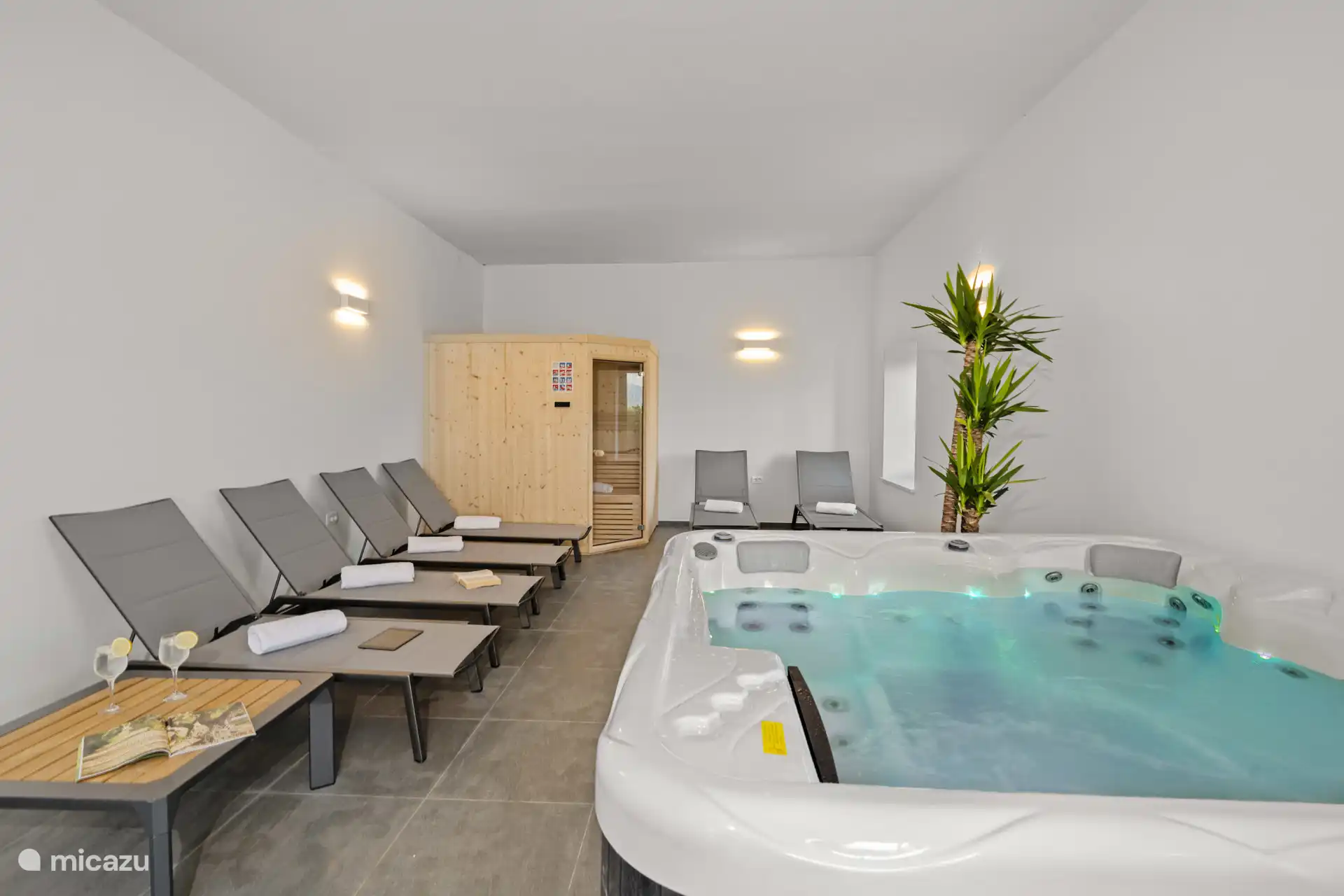 Spa, Whirlpool & Sauna