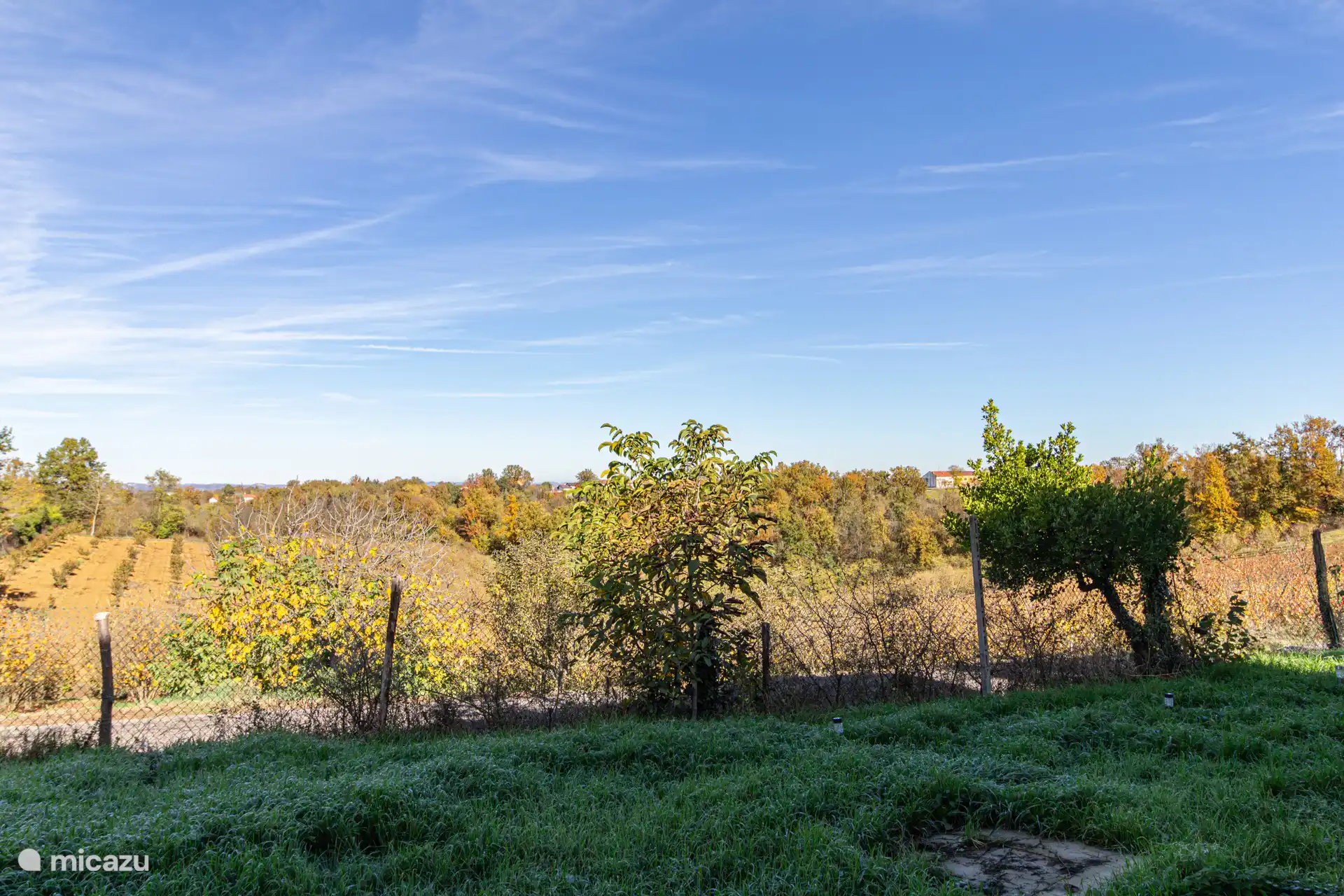 Blick von der Terrasse