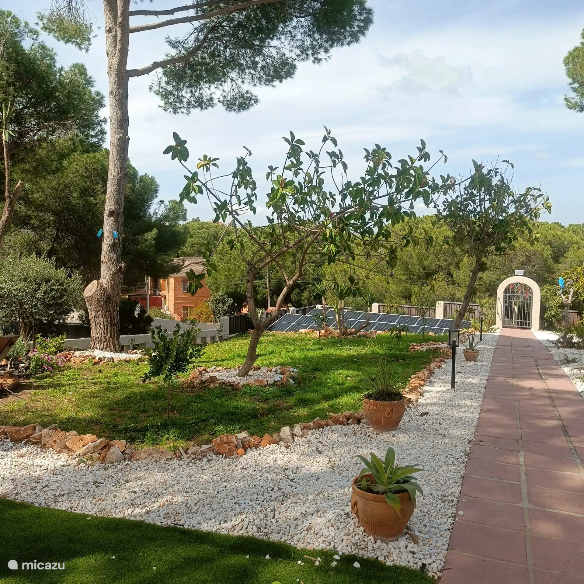 gemeenschappelijke tuin