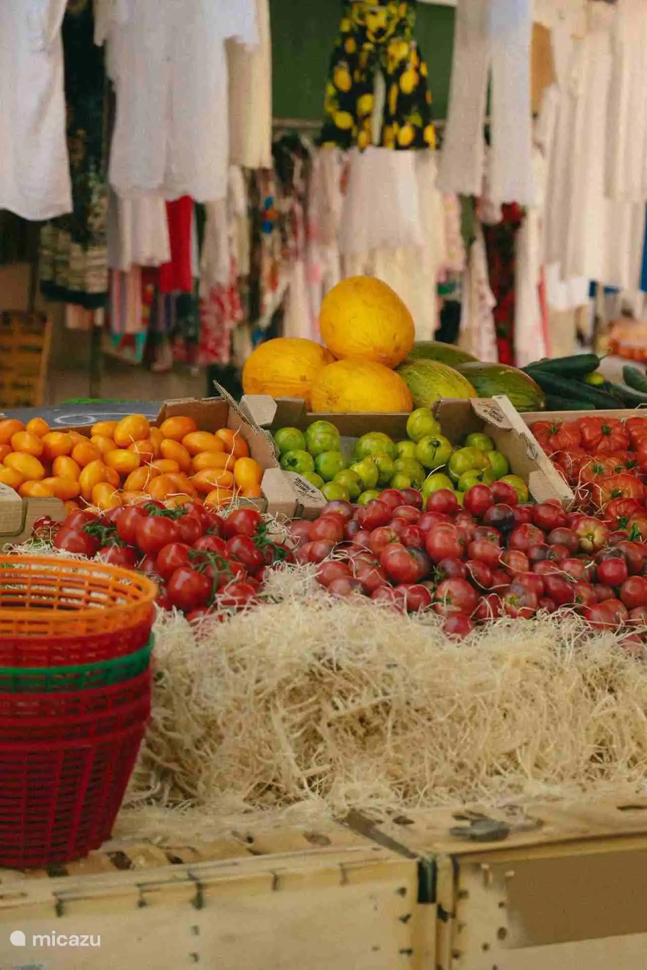 Markt Cotignac op dinsdag