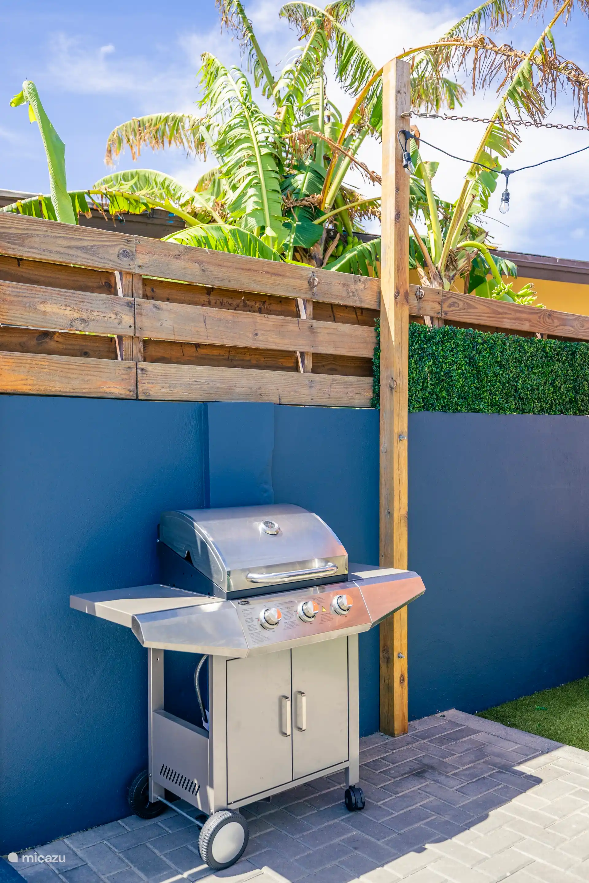 BBQ/Grill