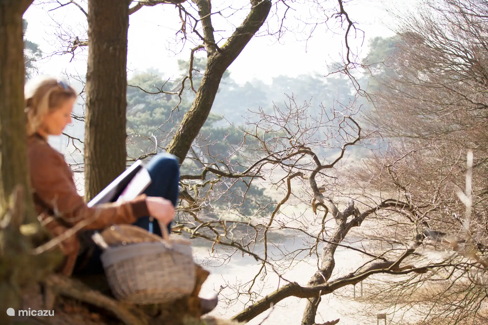 Picknick in de duinen