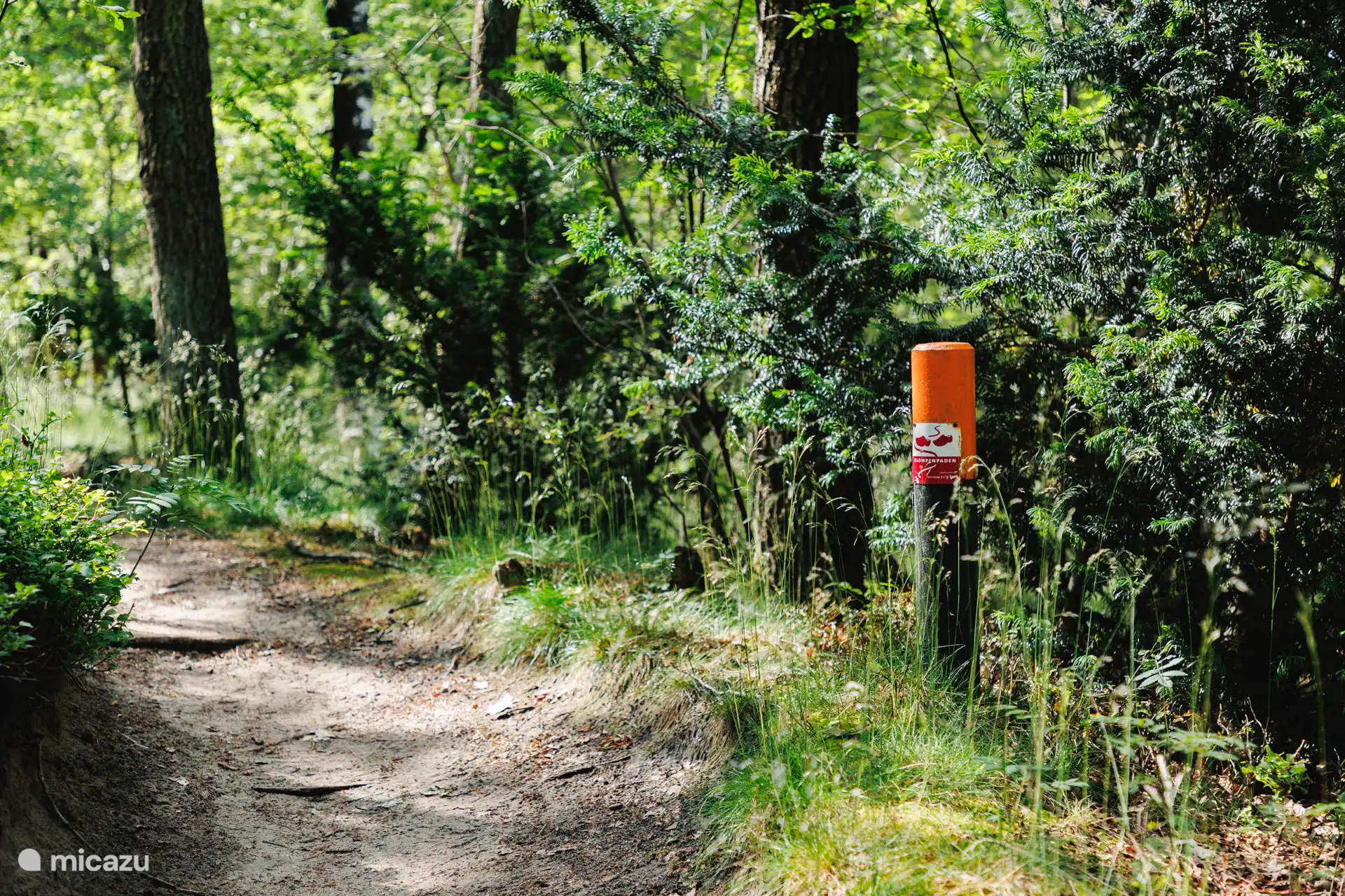 Wandelpaden in de natuur