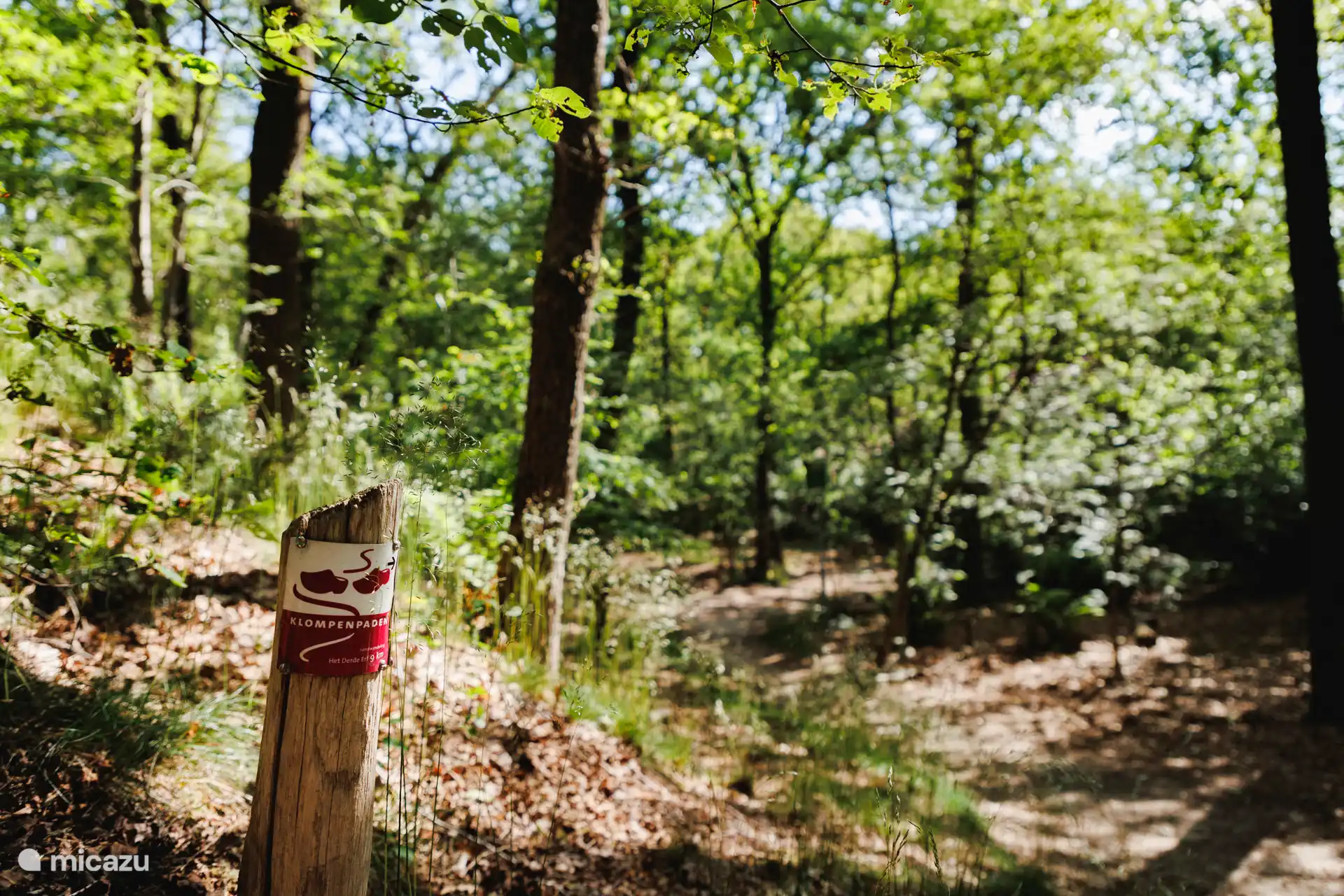 Wandelpaden in de natuur