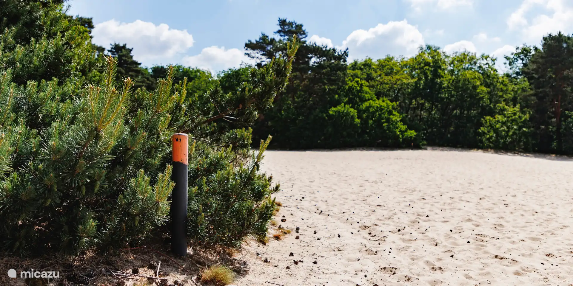 Wandelpad door het duingebied