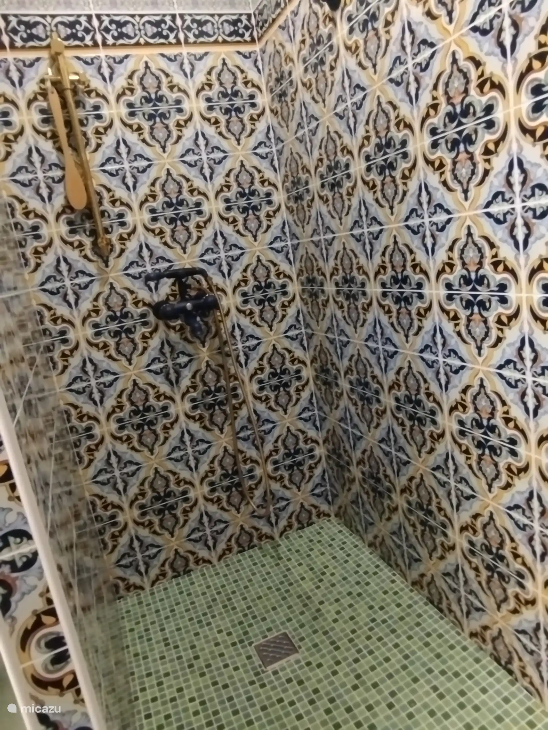 Appartement 1 - Douche