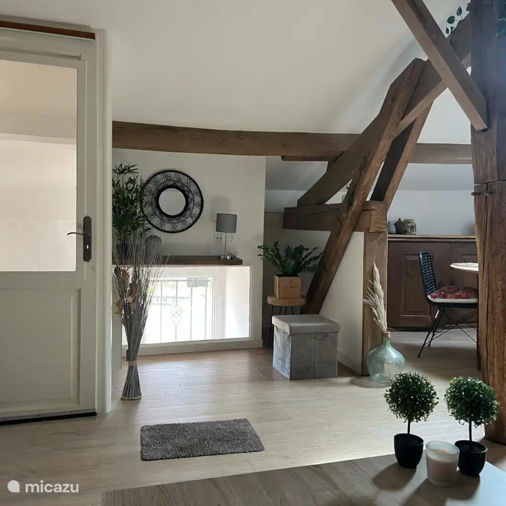 Ruim appartement met terras & tuin