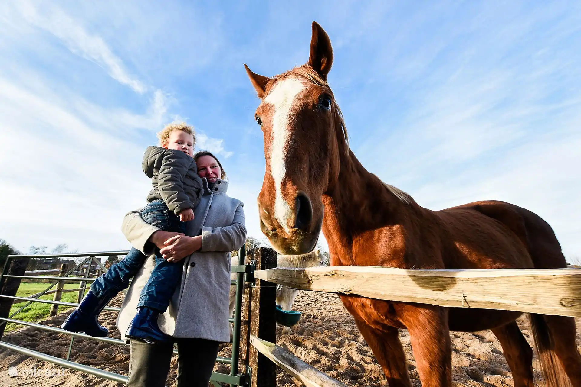 Stichting de Paardenkamp