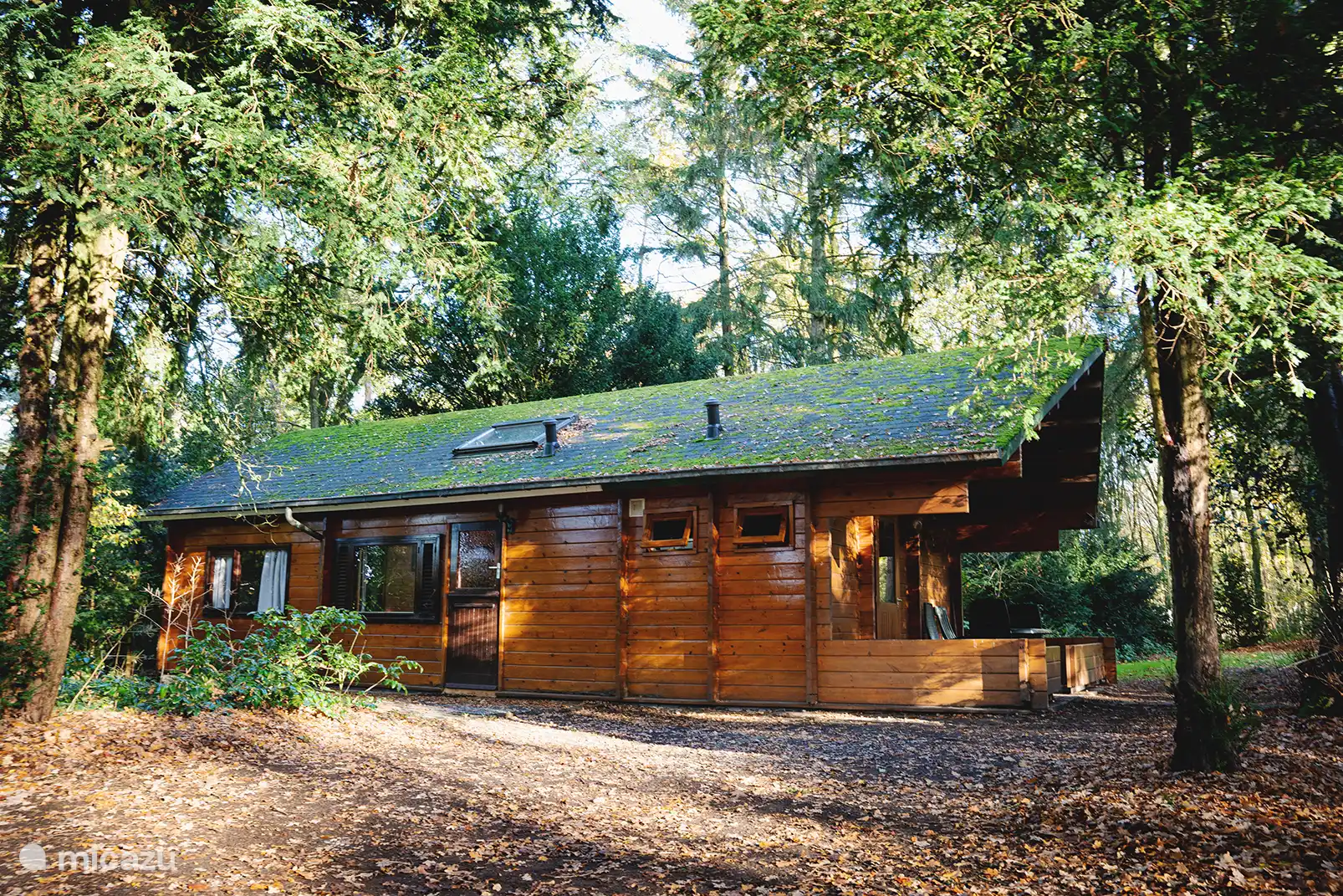 Seitenansicht nach draußen