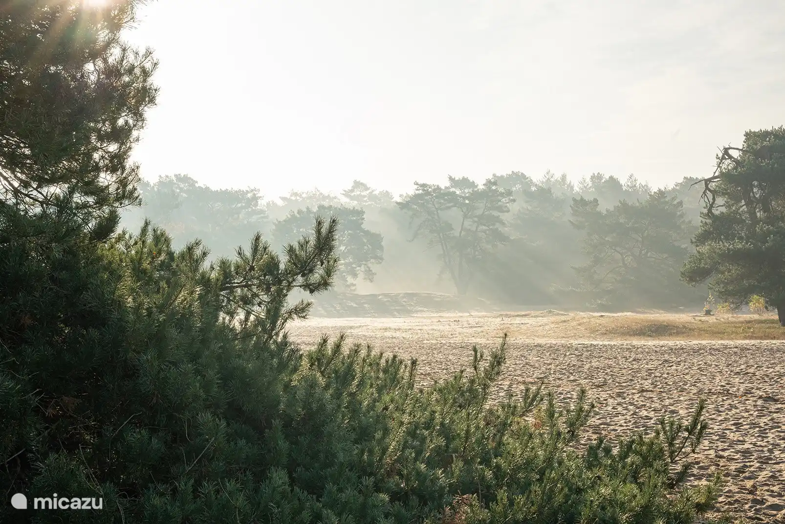 Soester zandverstuivingen