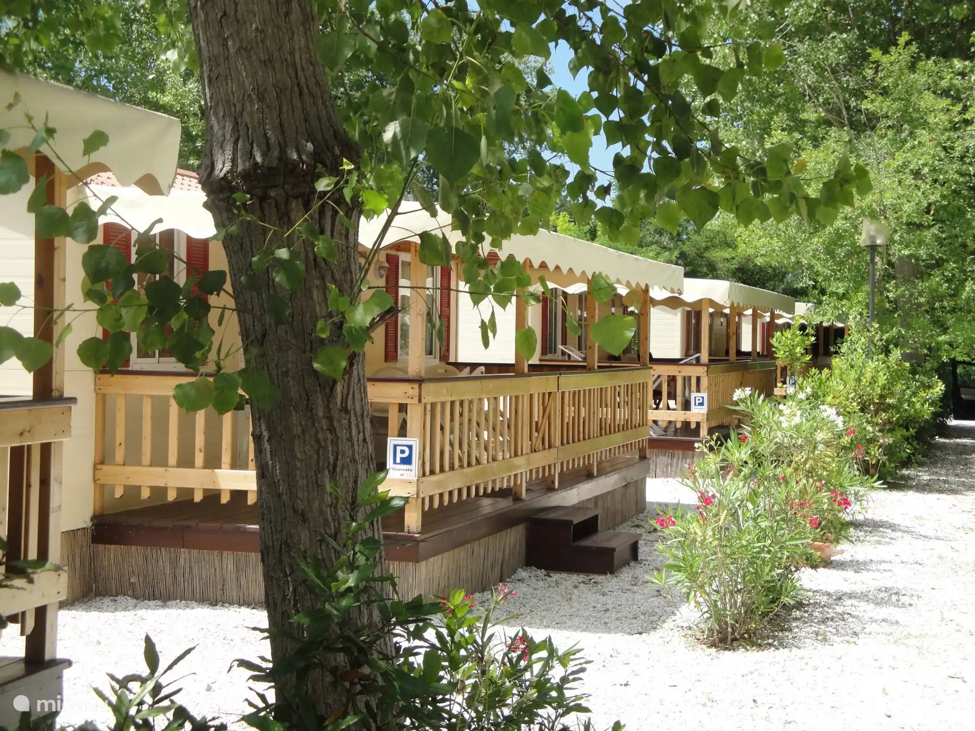 Our attractive mobile homes are located among the greenery and offer a lot of privacy and tranquility