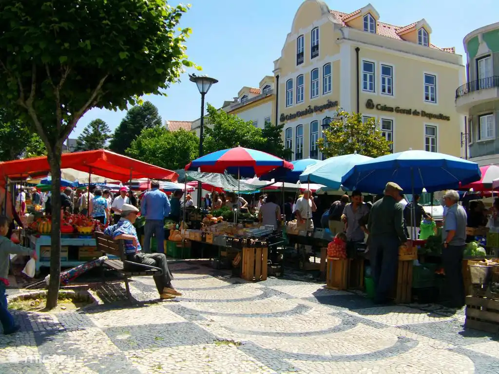 täglicher Markt in Caldas da Rainha (8 km)