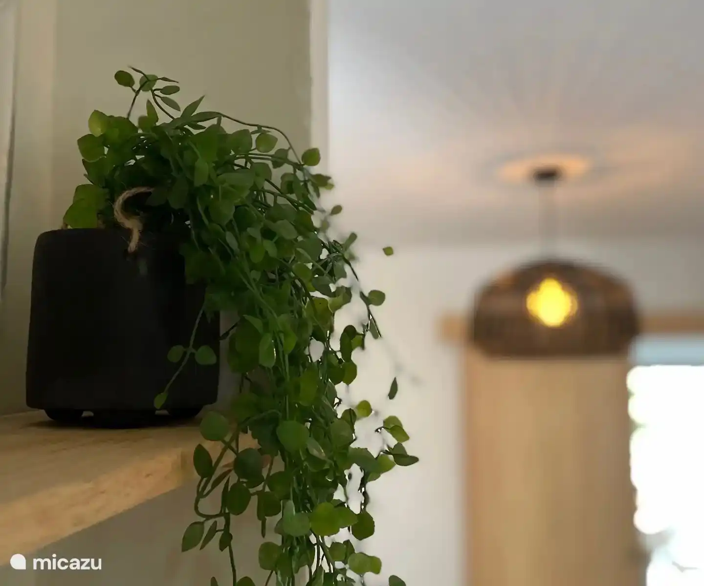 Schöne Dekorationselemente