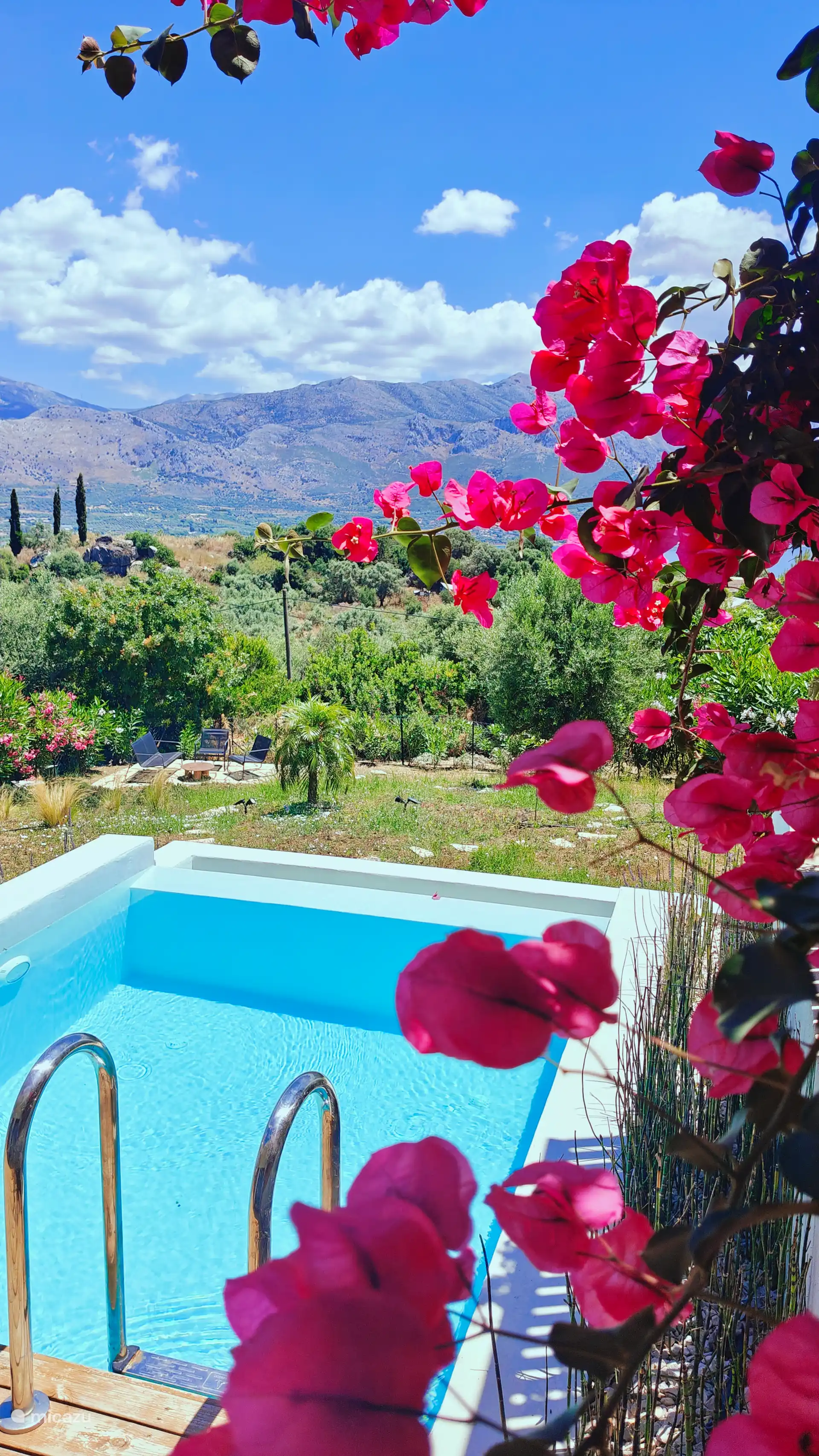 Piscina y jardín desde el patio.