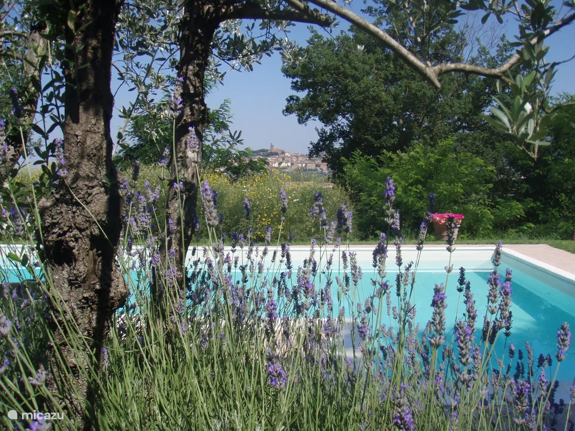 Vista de Castiglion Fiorentino desde la piscina