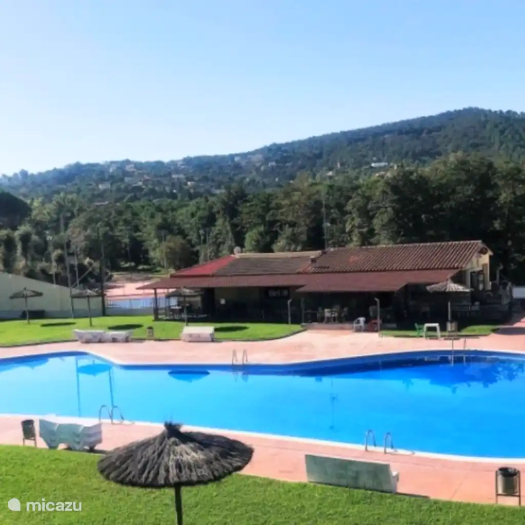 La Tórtola del Bosque, foto 3