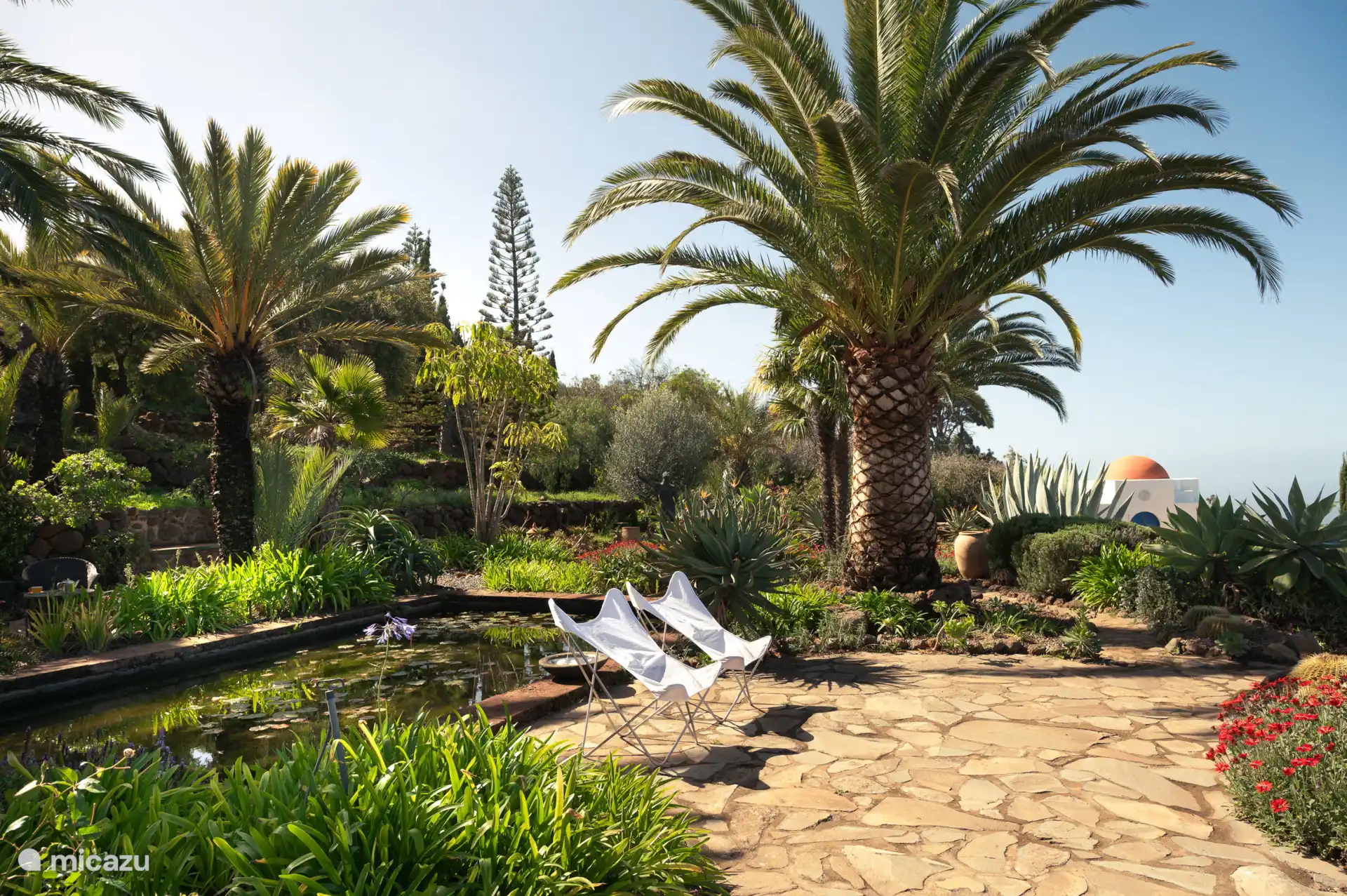 Tropische planten en kleurrijke bloemen rondom de vijver.